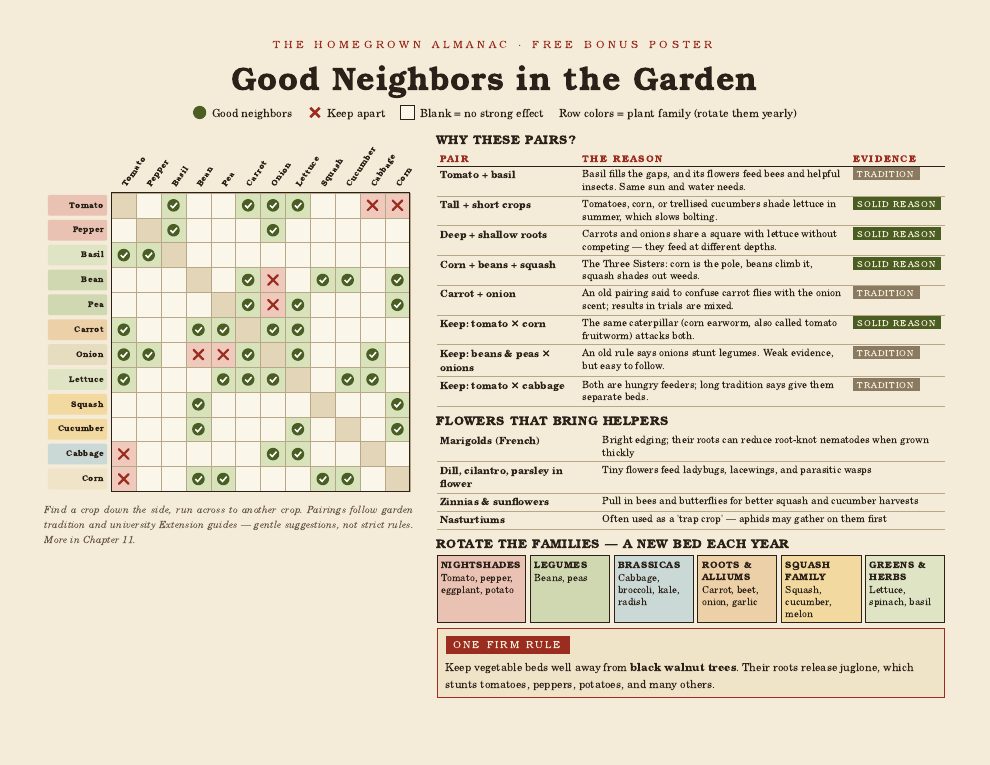 Good Neighbors companion planting chart poster