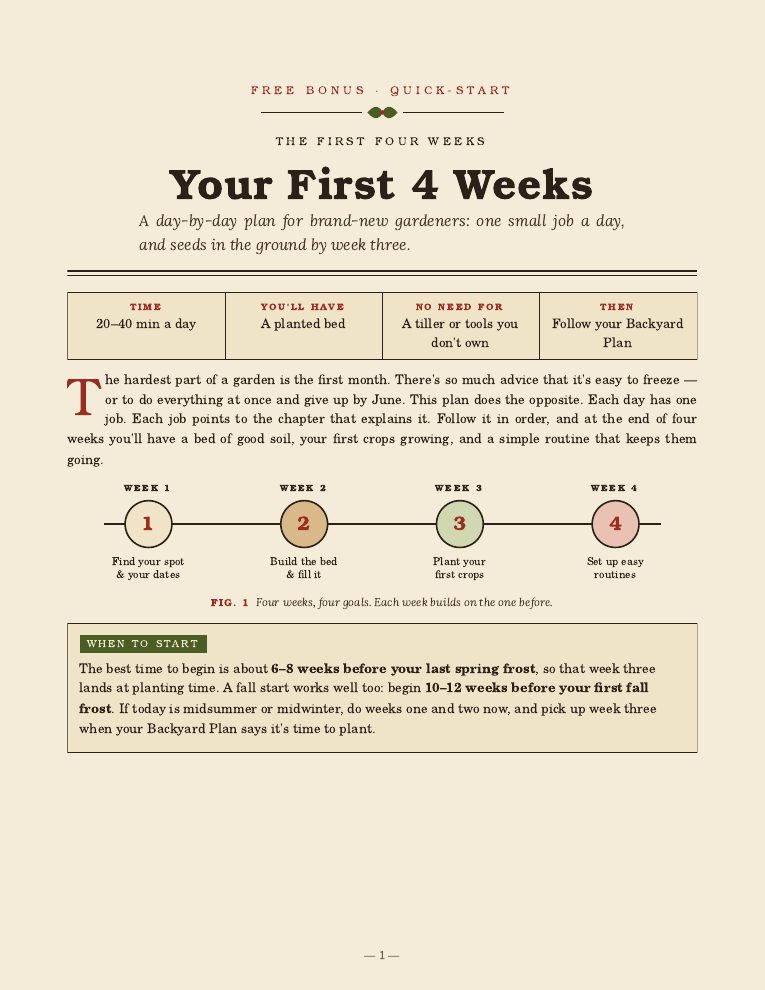 Cover page of The First 4 Weeks