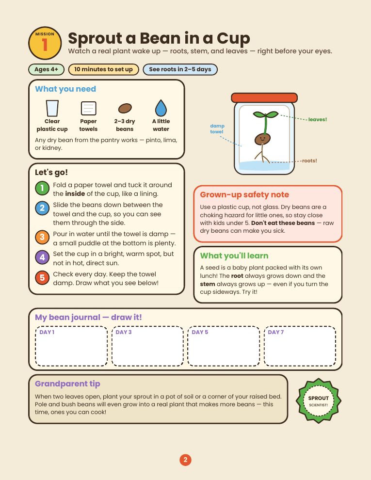 Mission 1: Sprout a Bean in a Cup, an illustrated activity page